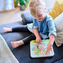 Load image into Gallery viewer, Orchard Maze Magnetic Sorting Game