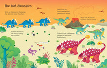 Load image into Gallery viewer, Wipe-Clean Dinosaur Activities : Usborne