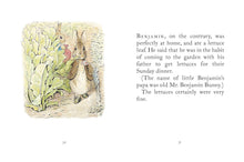 Load image into Gallery viewer, The Tale of Benjamin Bunny 5" Book