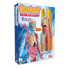 Load image into Gallery viewer, Squishy Human Body