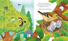 Load image into Gallery viewer, Peek Inside Springtime : Usborne