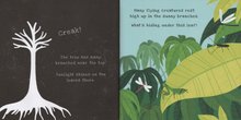 Load image into Gallery viewer, Shine-A-Light: Secrets of the Rain Forest