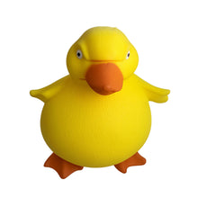 Load image into Gallery viewer, Stretch 'N Smash Grumpy Duck