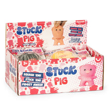Load image into Gallery viewer, Stuck Pig Squish
