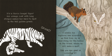Load image into Gallery viewer, Shine-A-Light: Secrets of Animal Camouﬂage
