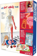 Load image into Gallery viewer, Squishy Human Body
