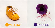 Load image into Gallery viewer, Red, Blue, Yellow Shoe(Board Book)
