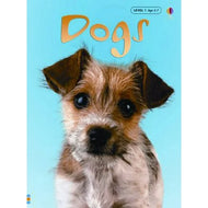 Dogs: Usborne Beginners: Information For Young Readers: Level 1-Hardcover
