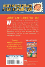 Load image into Gallery viewer, Flat Stanley's Worldwide Adventures #6: The African Safari Discovery - Paperback
