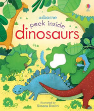 Load image into Gallery viewer, Usborne: Peek Inside Dinosaurs - Lift a Flap Board Book
