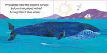 Load image into Gallery viewer, The Very Hungry Caterpillar's Ocean Hide &amp; Seek
