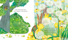 Load image into Gallery viewer, Peek Inside Springtime : Usborne
