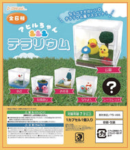 Load image into Gallery viewer, Little Duckie Terrarium Collectible Capsule
