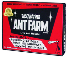 Load image into Gallery viewer, Uncle Milton - Retro Ant Farm

