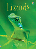 Usborne Beginners: Lizards - Hardcover