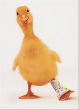 Load image into Gallery viewer, Duck Heal Better Soon Card
