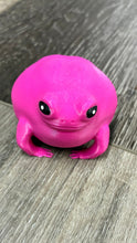 Load image into Gallery viewer, 3D Fat Frog
