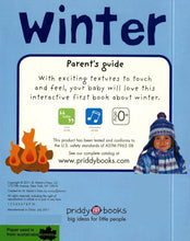 Load image into Gallery viewer, Bright Baby Touch and Feel Winter - Board book
