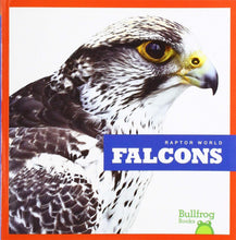 Load image into Gallery viewer, Falcons - Paperback

