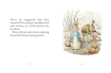 Load image into Gallery viewer, The Tale of Benjamin Bunny 5" Book
