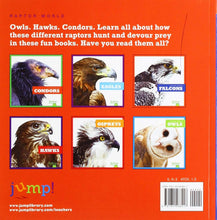 Load image into Gallery viewer, Falcons - Paperback
