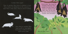 Load image into Gallery viewer, Shine-A-Light: Animal Journeys

