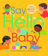 Say Hello To Baby  (Hardcover)