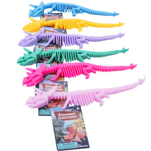 Load image into Gallery viewer, Toysmith Dinosaur Stretchies
