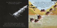 Load image into Gallery viewer, Shine-A-Light: Animal Journeys
