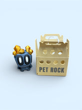Load image into Gallery viewer, 3D Pet Rock
