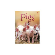 Usborne Beginners: Pigs - Hardcover