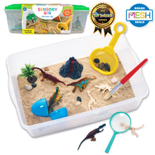 Load image into Gallery viewer, Sensory Bin Dinosaur Dig Activity Bin for Kids
