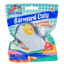 Load image into Gallery viewer, Barnyard Cats
