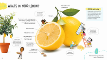Load image into Gallery viewer, There's Science in Lemons
