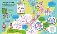 Load image into Gallery viewer, Big Book of The Body : Usborne
