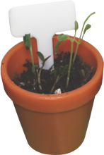 Load image into Gallery viewer, Tiny Gardening!
