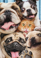 Dog & Cat Pop Up Birthday Card