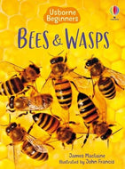Usborne: Bees and Wasps