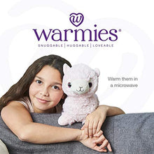 Load image into Gallery viewer, Warmies Bandito
